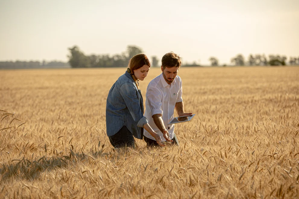 Hombre y mujer en un campo